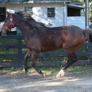 Meet your Posher, Fam